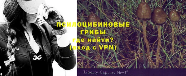 мяу мяу мука Абинск