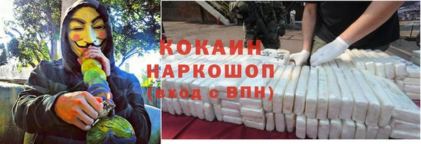 дживик Строитель