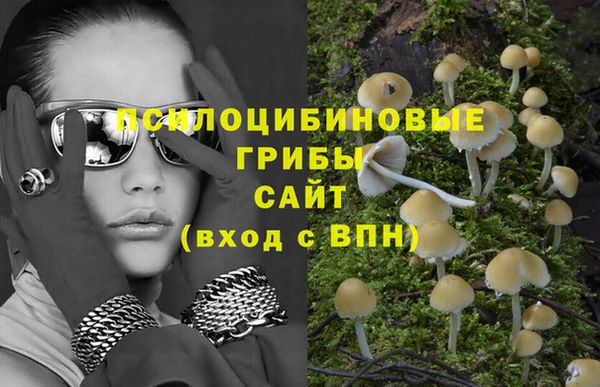 дживик Строитель