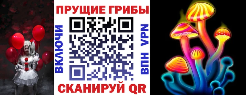 где купить наркоту  Краснодар  Псилоцибиновые грибы мухоморы 